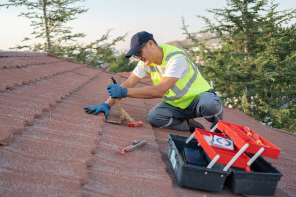 Best Roof Insulation Installation  in Big River, CA